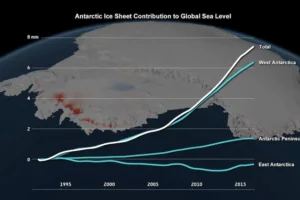 Antarctic ice melt, one of the climate change causes, raised sea levels 7 mm by 2017 | Climate change causes